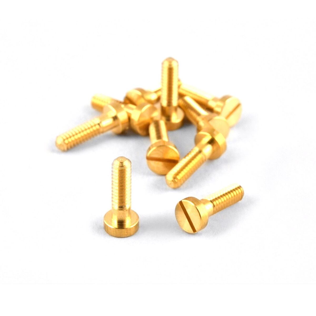 NSR 4836 - Brass Body Screws